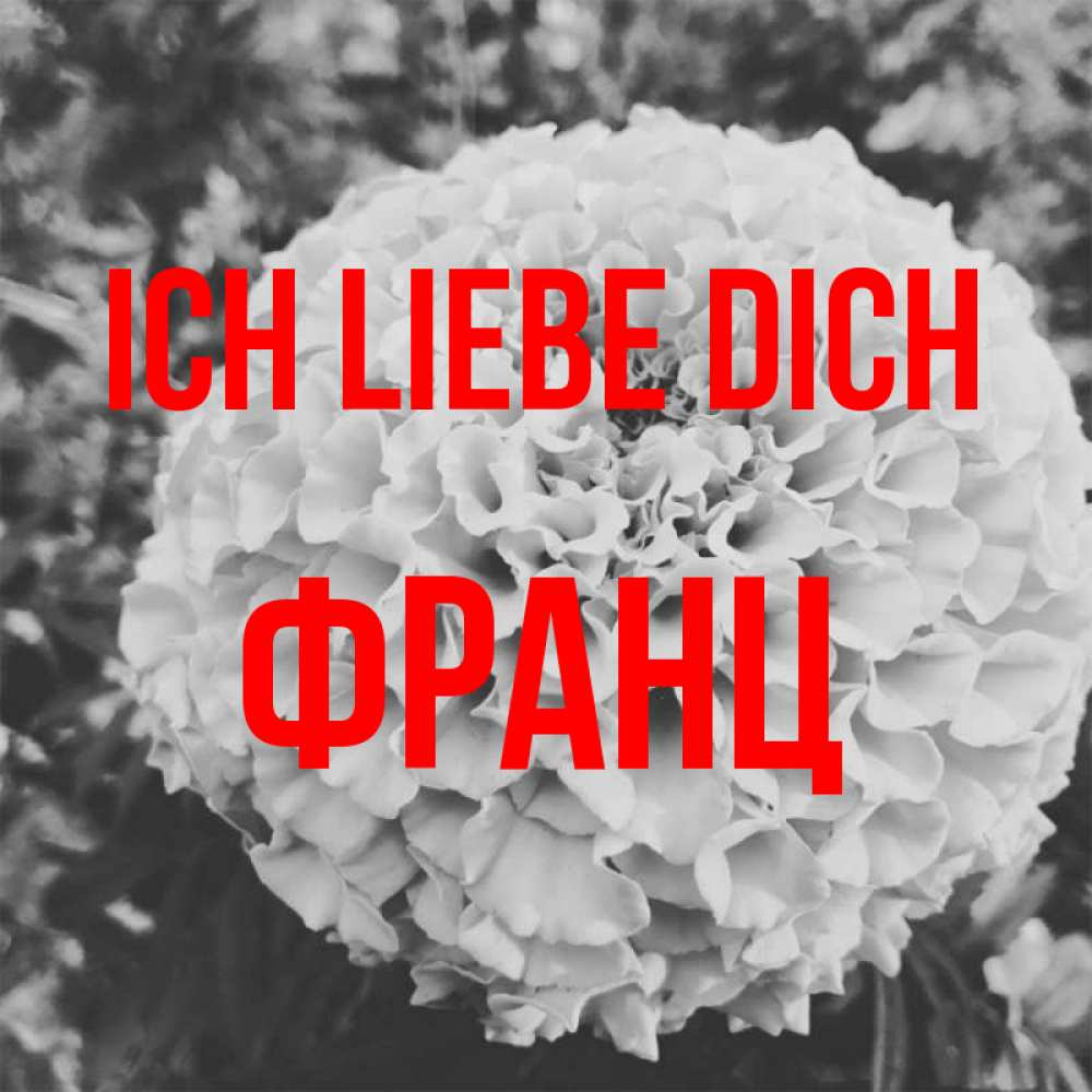 Открытка на каждый день с именем, Франц Ich liebe dich подпись Прикольная открытка с пожеланием онлайн скачать бесплатно 