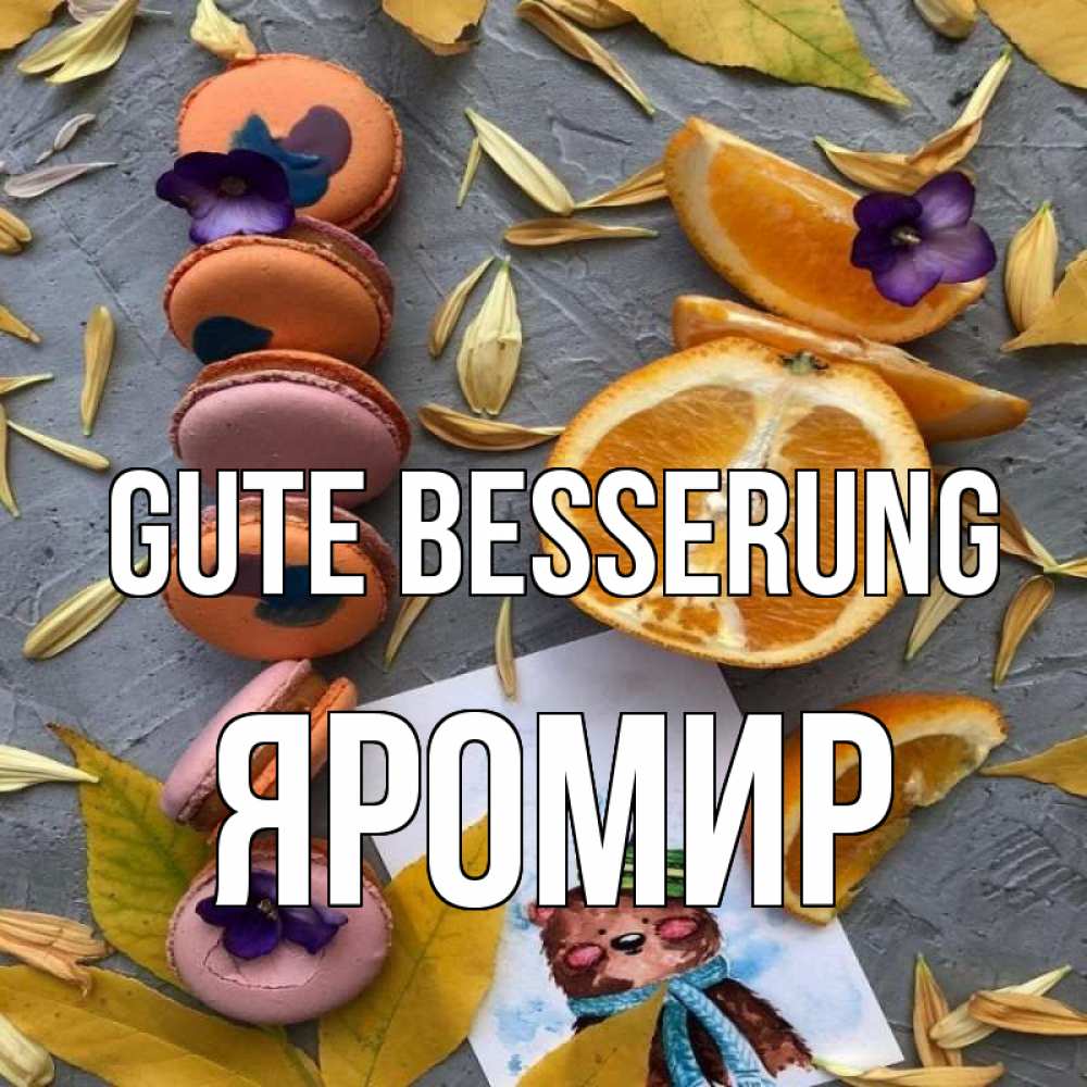 Открытка на каждый день с именем, Яромир Gute Besserung не болейте Прикольная открытка с пожеланием онлайн скачать бесплатно 