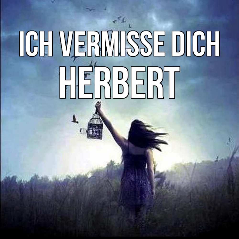 Открытка на каждый день с именем, Herbert Ich vermisse dich приходи ко мне Прикольная открытка с пожеланием онлайн скачать бесплатно 