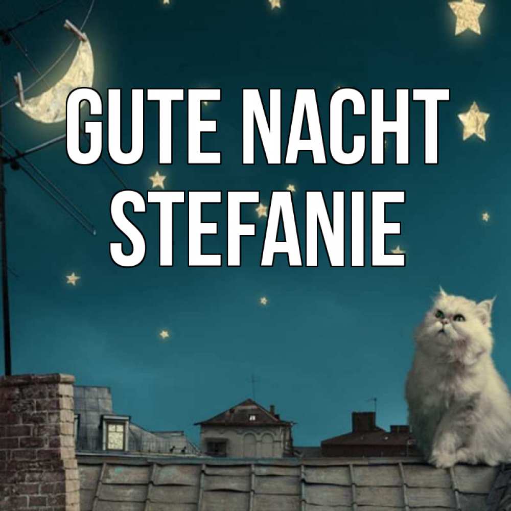 Открытка на каждый день с именем, Stefanie Gute Nacht белый кот сидит на крыше Прикольная открытка с пожеланием онлайн скачать бесплатно 