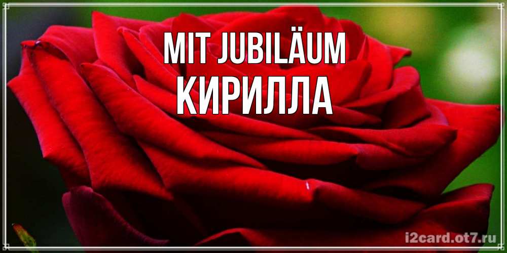 Открытка на каждый день с именем, Кирилла Mit Jubiläum розочка очень красивая Прикольная открытка с пожеланием онлайн скачать бесплатно 