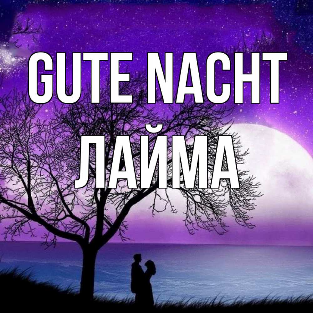 Открытка на каждый день с именем, Лайма Gute Nacht огромная луна и парочка Прикольная открытка с пожеланием онлайн скачать бесплатно 