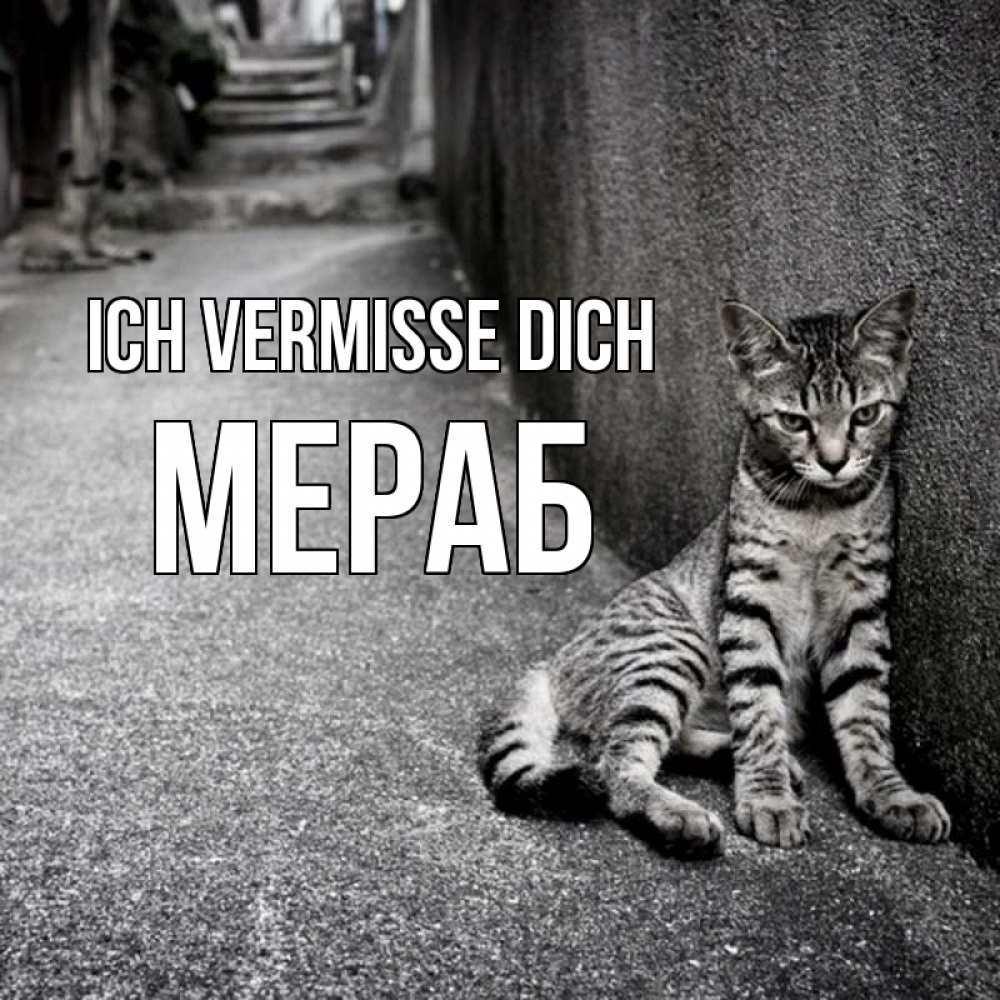 Открытка на каждый день с именем, Мераб Ich vermisse dich одиноко котику Прикольная открытка с пожеланием онлайн скачать бесплатно 