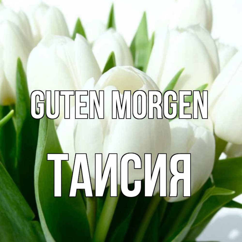 Открытка на каждый день с именем, Таисия Guten Morgen открытки на каждый день по именам Прикольная открытка с пожеланием онлайн скачать бесплатно 