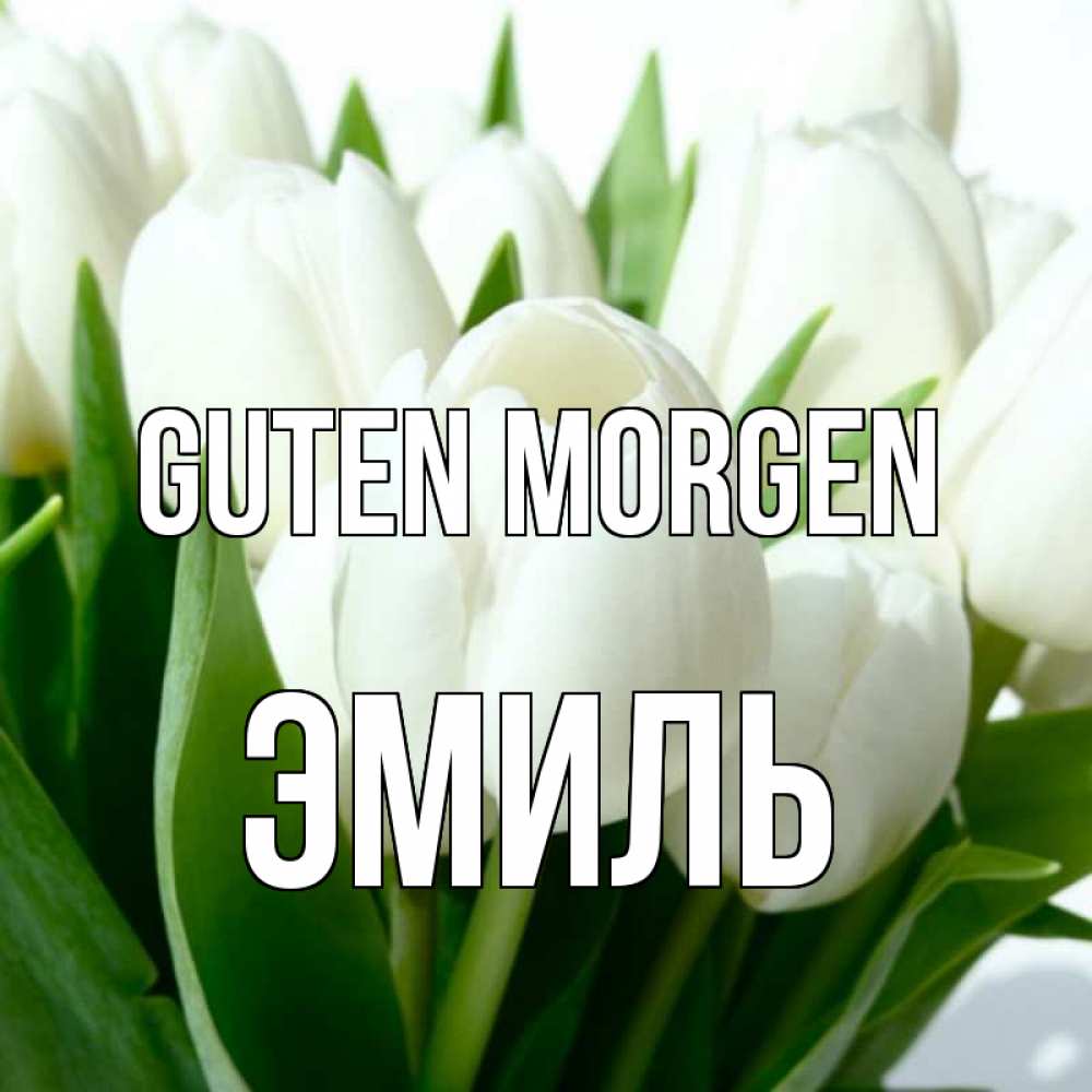 Открытка на каждый день с именем, Эмиль Guten Morgen открытки на каждый день по именам Прикольная открытка с пожеланием онлайн скачать бесплатно 