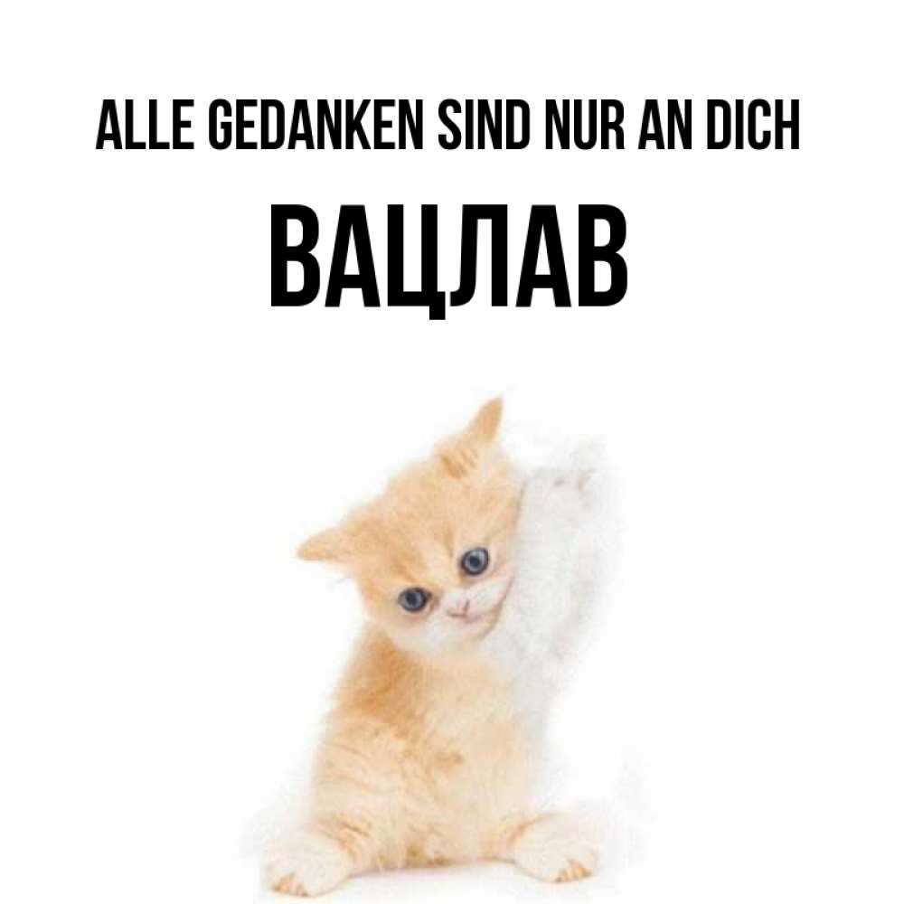 Открытка на каждый день с именем, Вацлав Alle Gedanken sind nur an dich зверушки и милота Прикольная открытка с пожеланием онлайн скачать бесплатно 