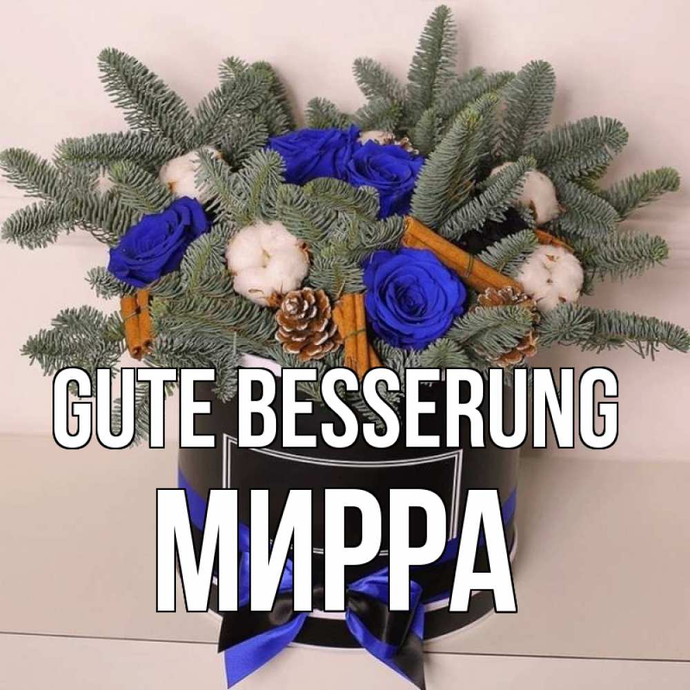 Открытка на каждый день с именем, Мирра Gute Besserung короче кто то загрузил эти шишки Прикольная открытка с пожеланием онлайн скачать бесплатно 