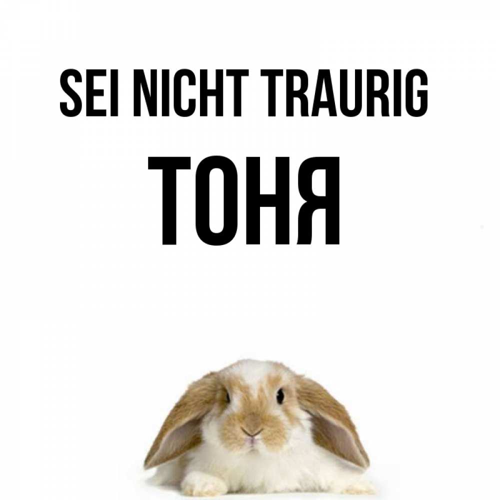Открытка на каждый день с именем, Тоня Sei nicht traurig коричнево белый заяц с большими ушками Прикольная открытка с пожеланием онлайн скачать бесплатно 