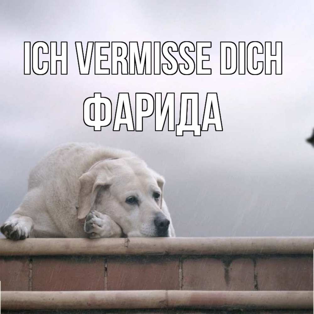 Открытка на каждый день с именем, Фарида Ich vermisse dich ждет Прикольная открытка с пожеланием онлайн скачать бесплатно 