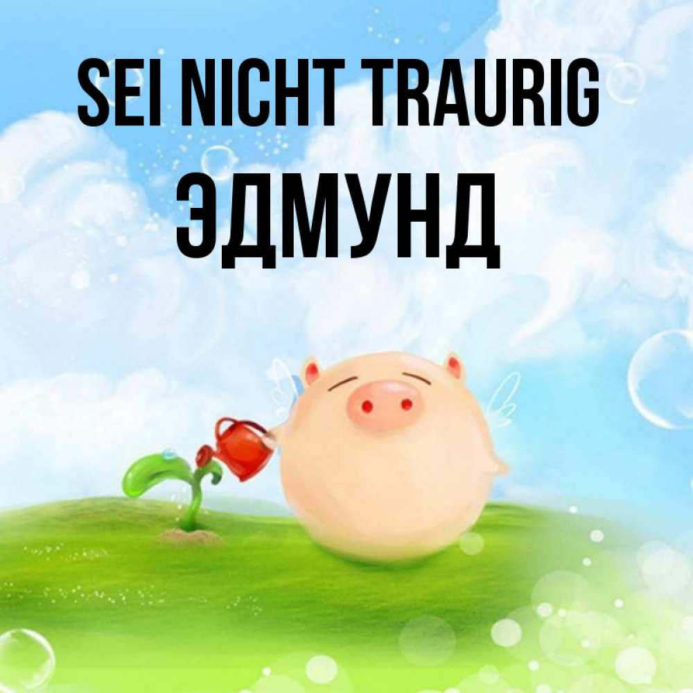 Открытка на каждый день с именем, Эдмунд Sei nicht traurig поливает цветок порося Прикольная открытка с пожеланием онлайн скачать бесплатно 