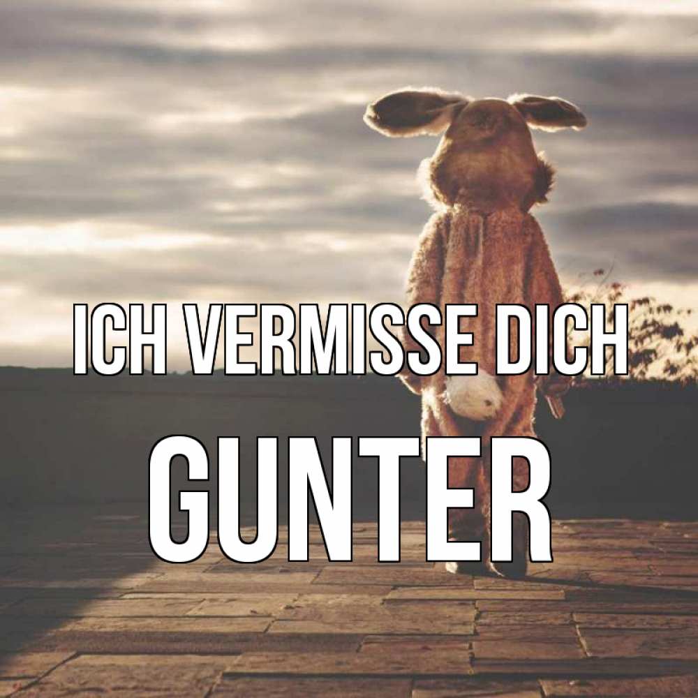 Открытка на каждый день с именем, Gunter Ich vermisse dich даже в костюме зайца Прикольная открытка с пожеланием онлайн скачать бесплатно 
