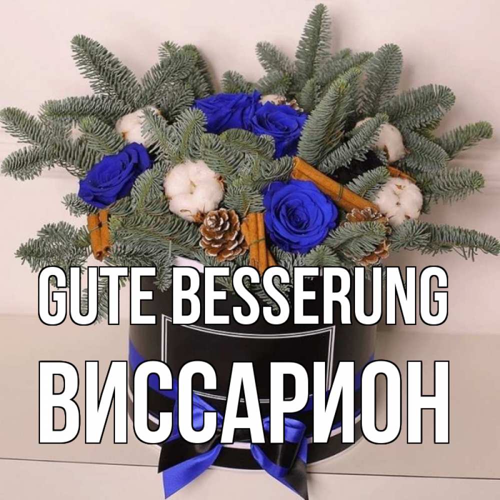 Открытка на каждый день с именем, Виссарион Gute Besserung короче кто то загрузил эти шишки Прикольная открытка с пожеланием онлайн скачать бесплатно 