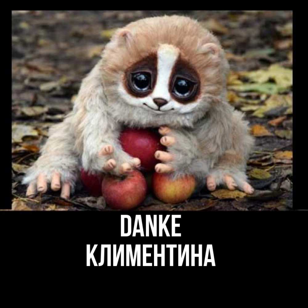 Открытка на каждый день с именем, Климентина Danke прикольное животное Прикольная открытка с пожеланием онлайн скачать бесплатно 