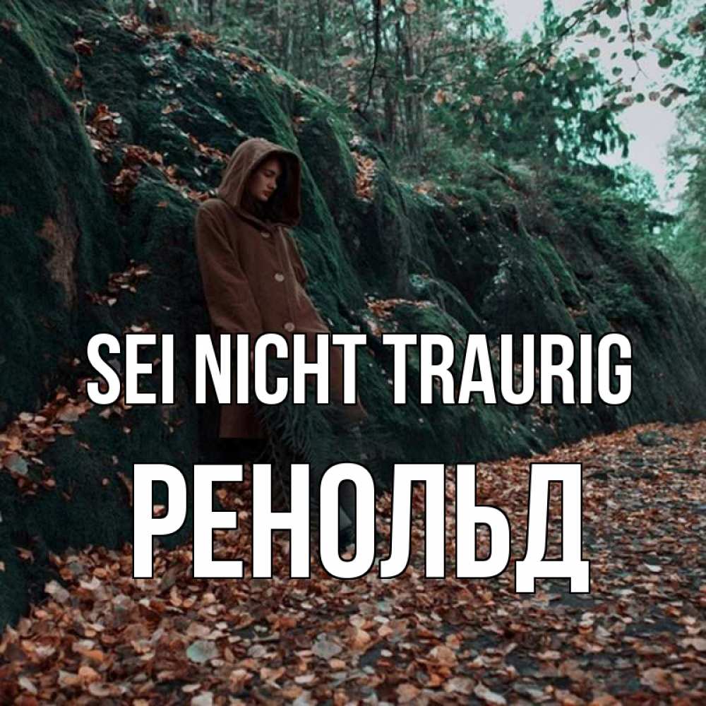 Открытка на каждый день с именем, Ренольд Sei nicht traurig осенний лес Прикольная открытка с пожеланием онлайн скачать бесплатно 