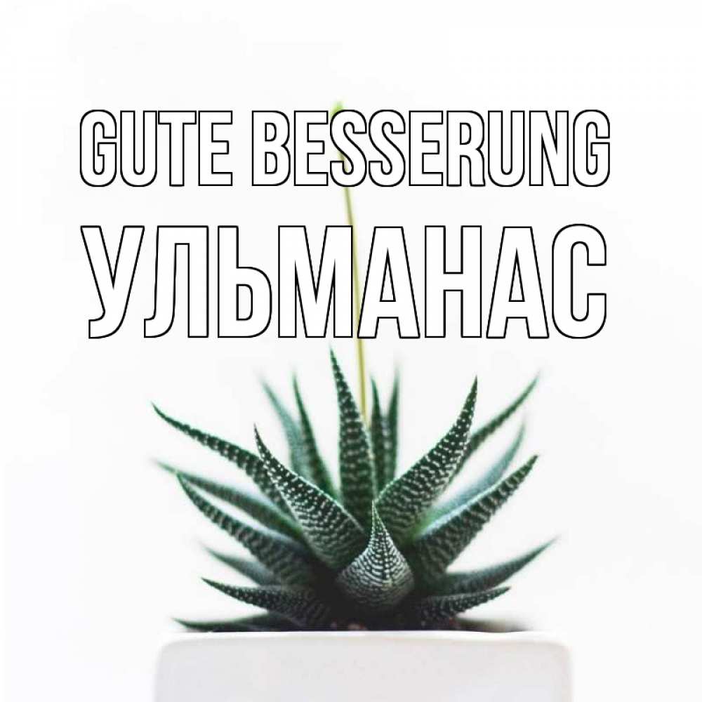 Открытка на каждый день с именем, Ульманас Gute Besserung короче это непонятная колючка Прикольная открытка с пожеланием онлайн скачать бесплатно 