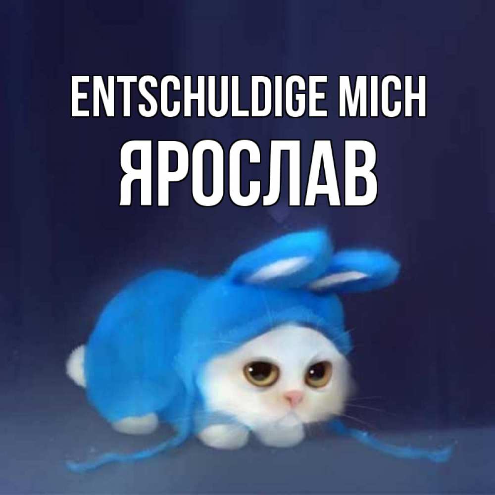 Открытка на каждый день с именем, Ярослав Entschuldige mich невинный котозай просит прощения Прикольная открытка с пожеланием онлайн скачать бесплатно 