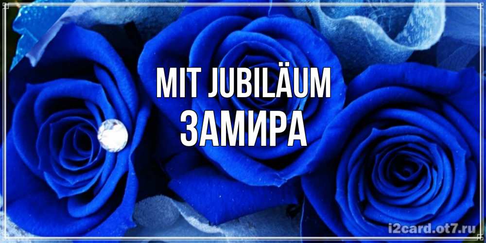 Открытка на каждый день с именем, Замира Mit Jubiläum синие розы в росе Прикольная открытка с пожеланием онлайн скачать бесплатно 