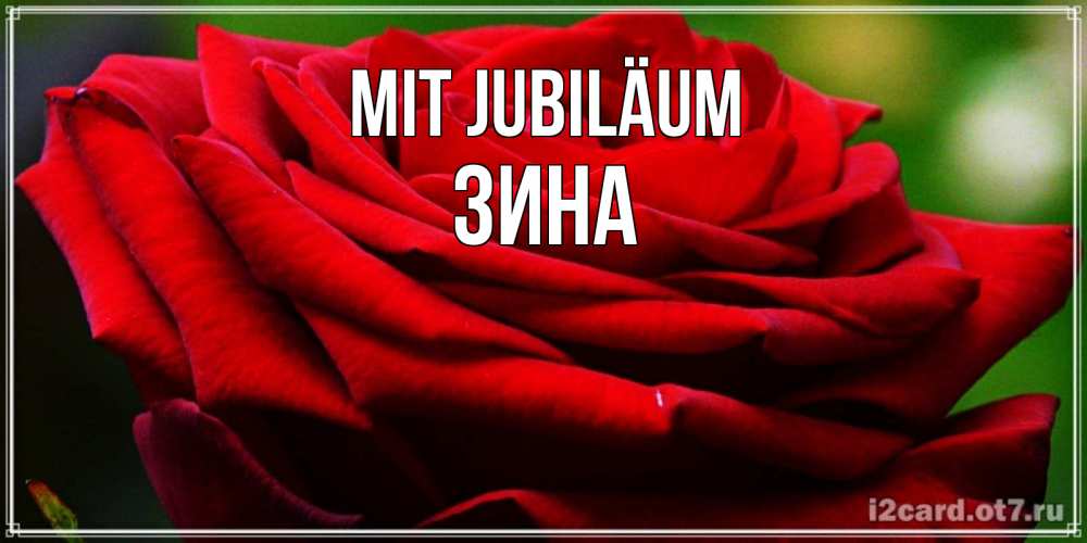 Открытка на каждый день с именем, Зина Mit Jubiläum розочка очень красивая Прикольная открытка с пожеланием онлайн скачать бесплатно 