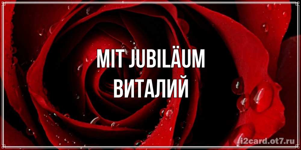 Открытка на каждый день с именем, Виталий Mit Jubiläum крупная бордовая роза Прикольная открытка с пожеланием онлайн скачать бесплатно 