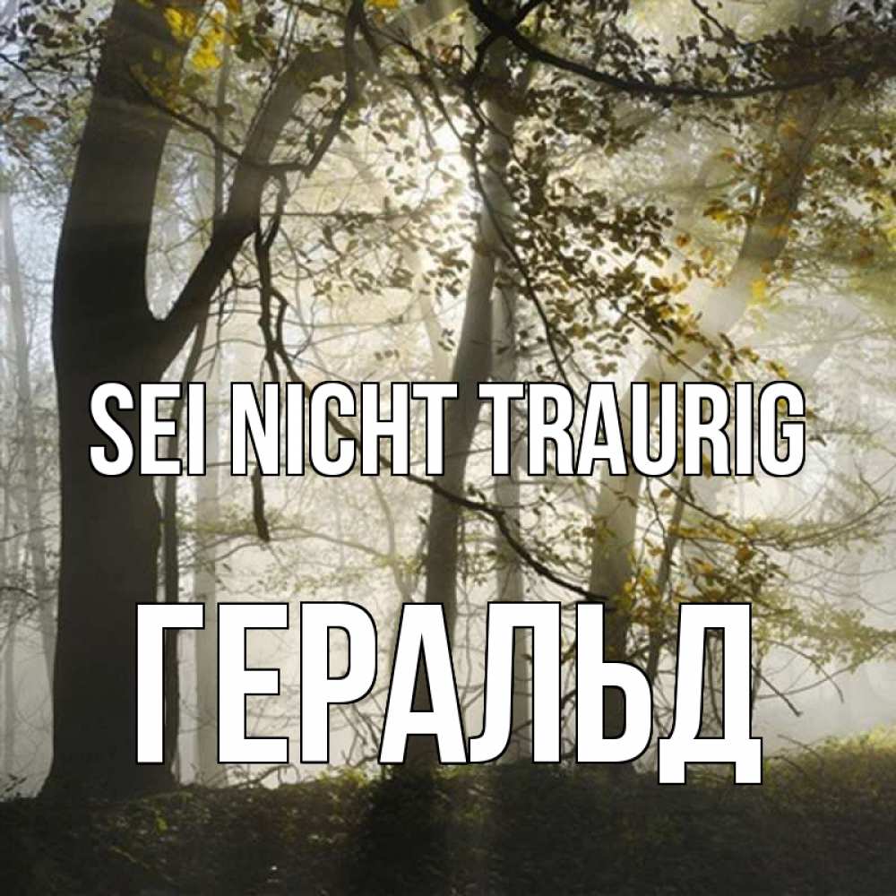 Открытка на каждый день с именем, Геральд Sei nicht traurig лес и свет Прикольная открытка с пожеланием онлайн скачать бесплатно 