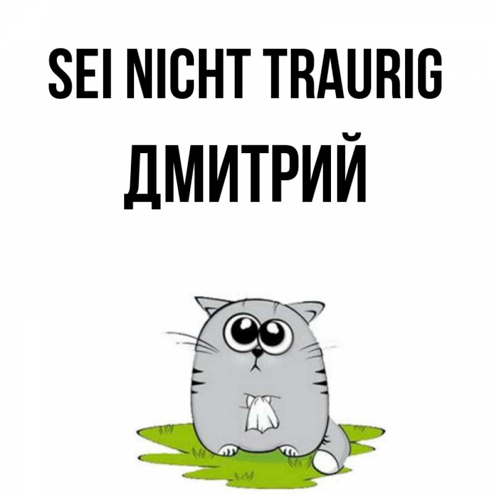 Открытка на каждый день с именем, Дмитрий Sei nicht traurig грустный котяра Прикольная открытка с пожеланием онлайн скачать бесплатно 