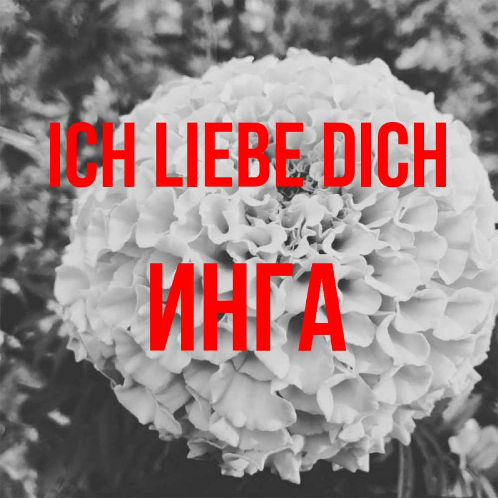 Открытка на каждый день с именем, Инга Ich liebe dich подпись Прикольная открытка с пожеланием онлайн скачать бесплатно 