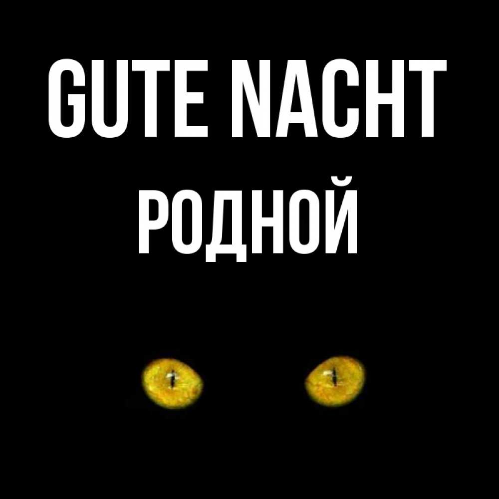 Открытка на каждый день с именем, Родной Gute Nacht сладких снов бесстрашный мой дружочек Прикольная открытка с пожеланием онлайн скачать бесплатно 