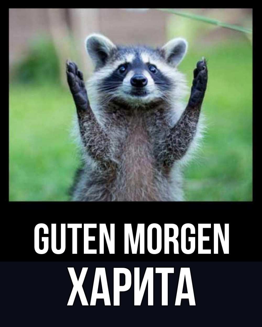 Открытка на каждый день с именем, Харита Guten Morgen хорошее настроение утречком Прикольная открытка с пожеланием онлайн скачать бесплатно 