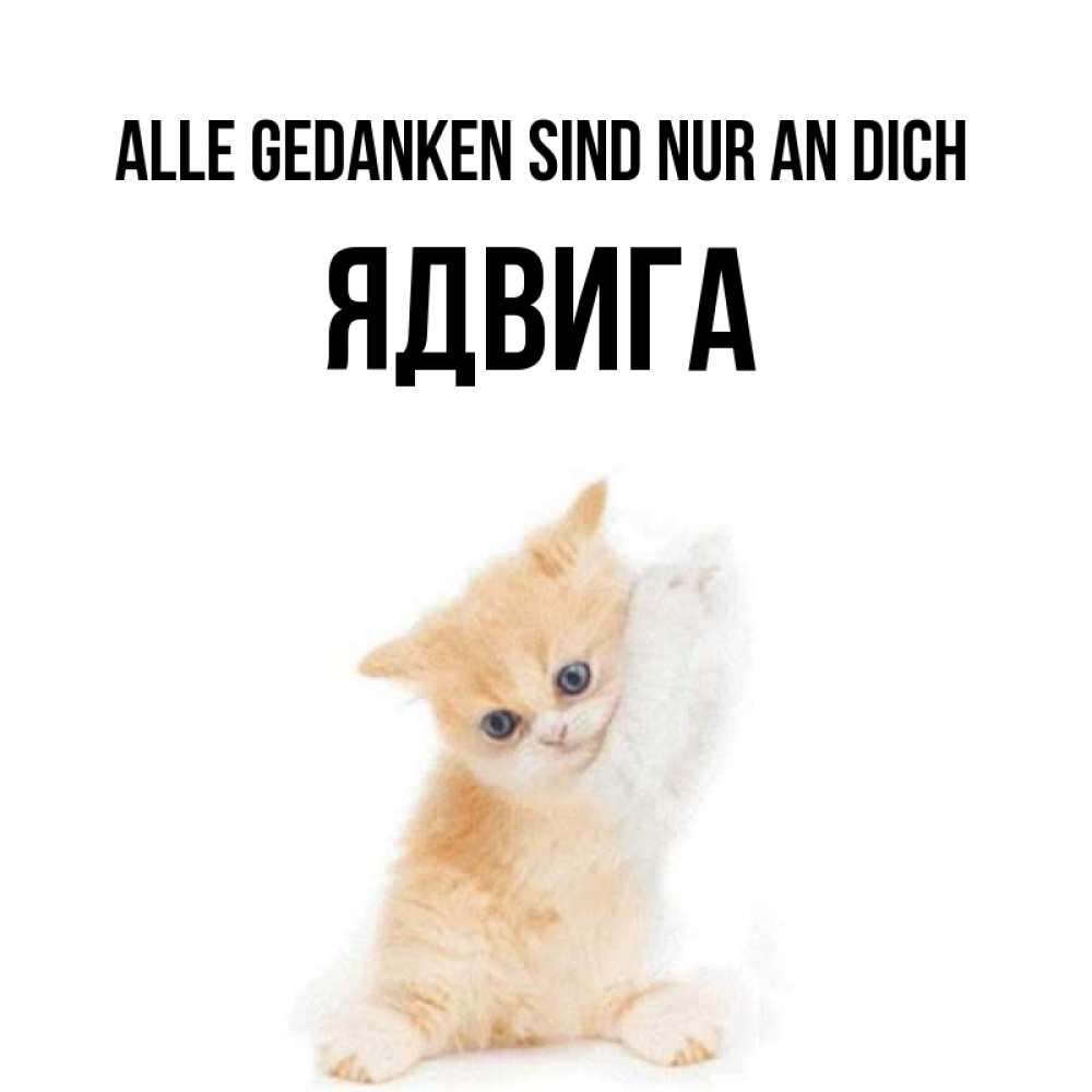 Открытка на каждый день с именем, Ядвига Alle Gedanken sind nur an dich зверушки и милота Прикольная открытка с пожеланием онлайн скачать бесплатно 