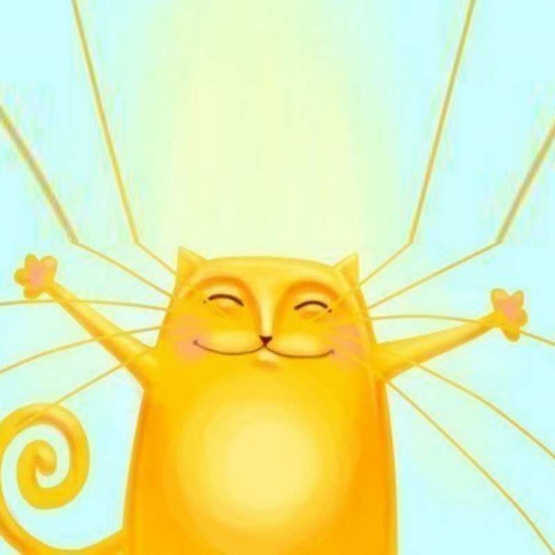 Открытка Кот дарит тепло  обнимашки усатые  Sei nicht traurig 