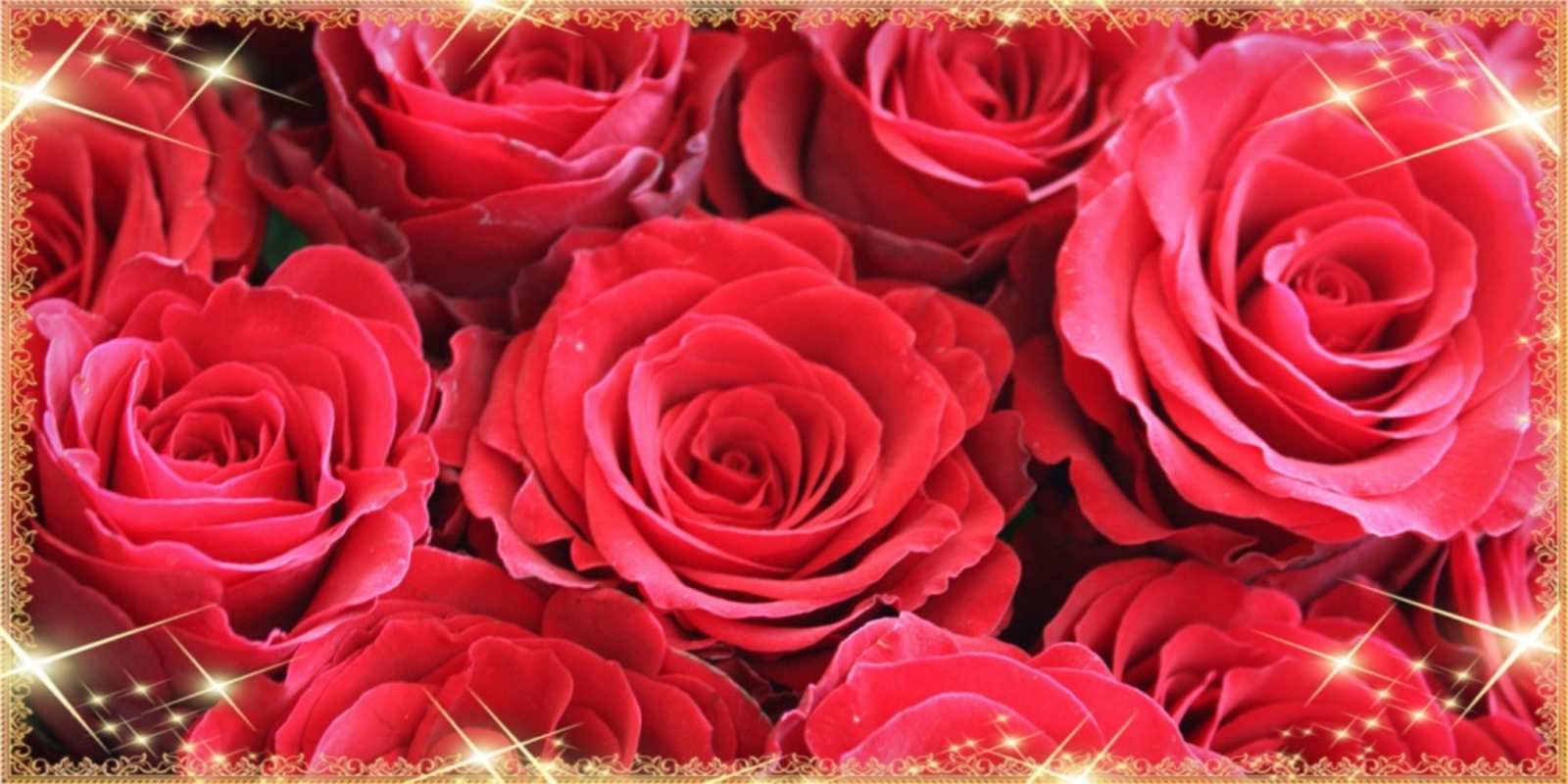 Открытка много распустившихся роз на 8 марта красивым и любимым женщинам открытки на 8 марта 2019 года Am 8. März 