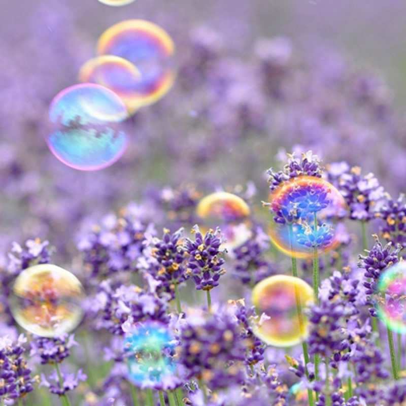 Открытка цветы и мыльные пузыри  цветы  Am 8. März 