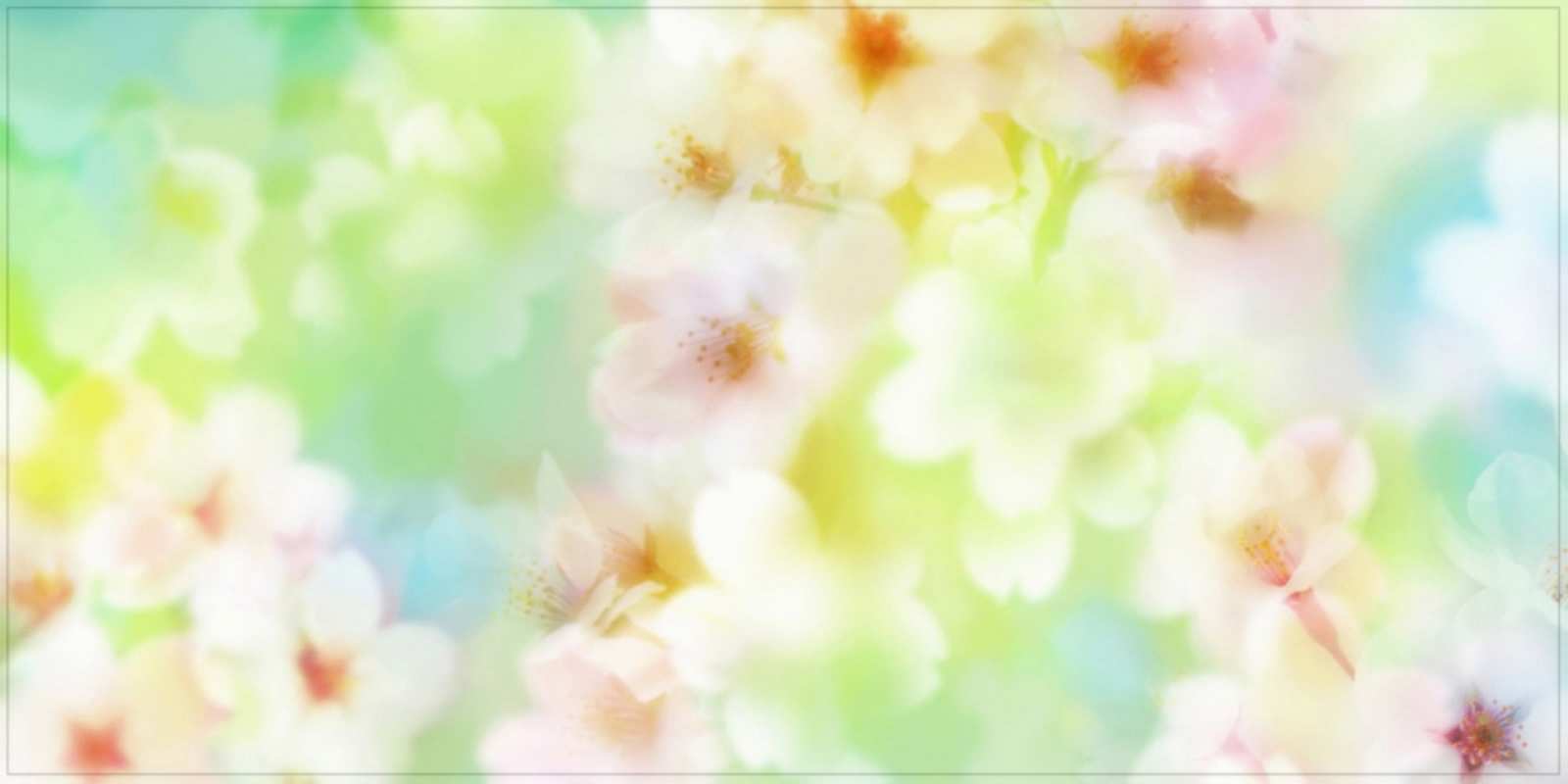 Открытка красивые цветы летнее настроение удачного летнего солнечного дня Einen schönen Tag 