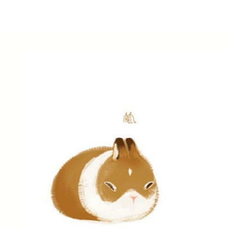 Открытка морская свинка лежит коричнево белый домашний питомец Danke 