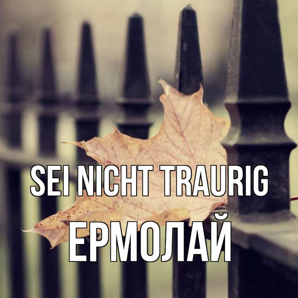 Открытка на каждый день с именем, Ермолай Sei nicht traurig лист клена Прикольная открытка с пожеланием онлайн скачать бесплатно 