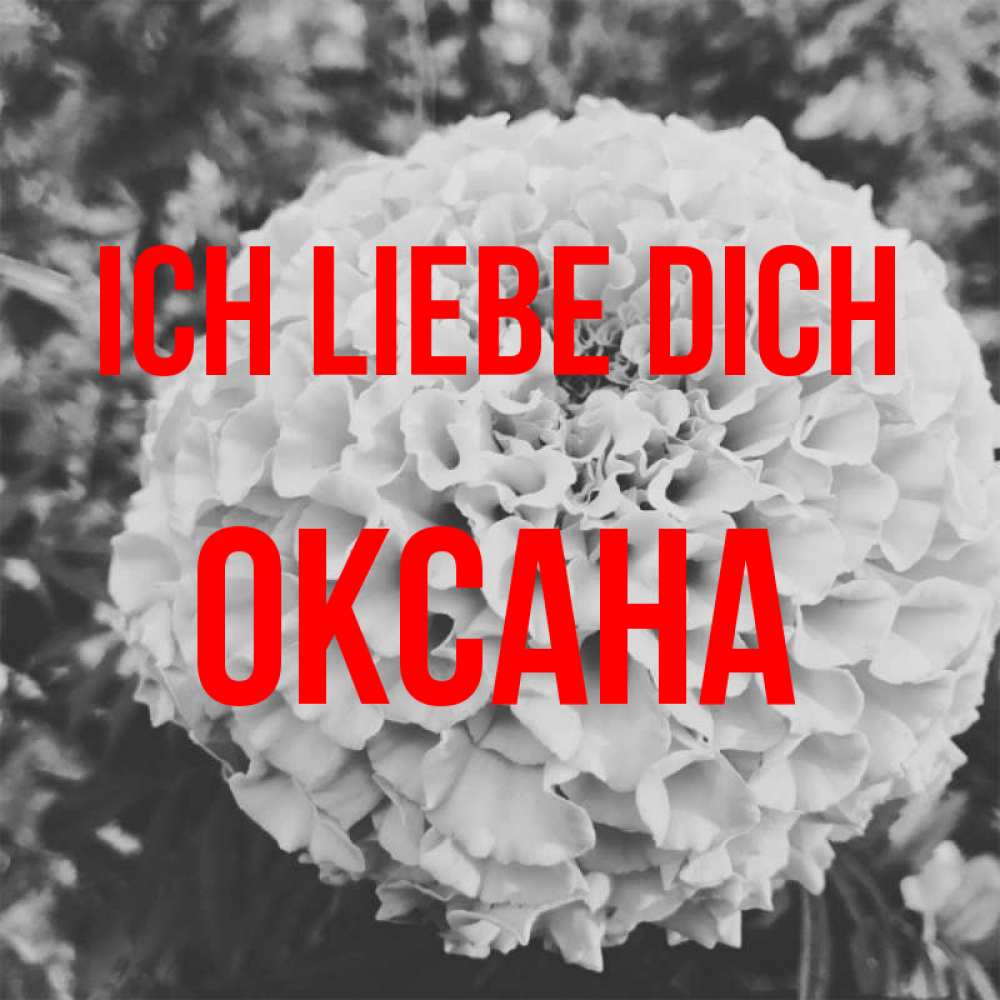 Открытка на каждый день с именем, Оксана Ich liebe dich подпись Прикольная открытка с пожеланием онлайн скачать бесплатно 
