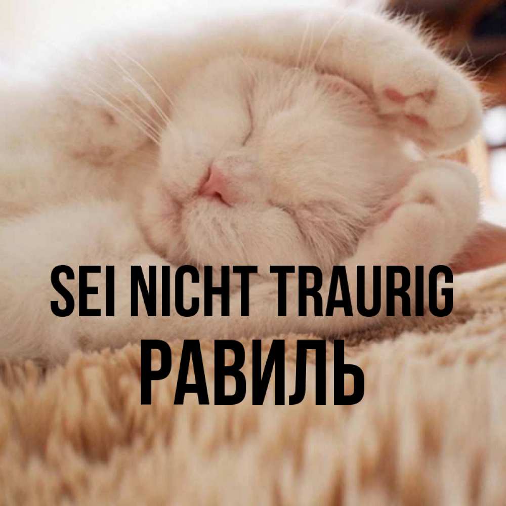 Открытка на каждый день с именем, Равиль Sei nicht traurig Котенок спит Прикольная открытка с пожеланием онлайн скачать бесплатно 