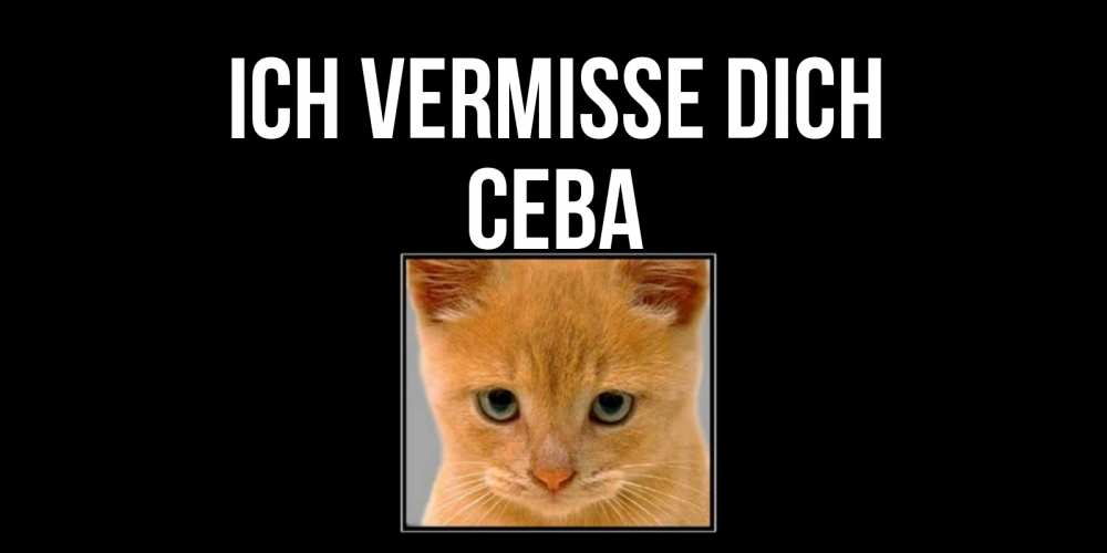 Открытка на каждый день с именем, Сева Ich vermisse dich открытки рыжий котенок скучает по тебе Прикольная открытка с пожеланием онлайн скачать бесплатно 