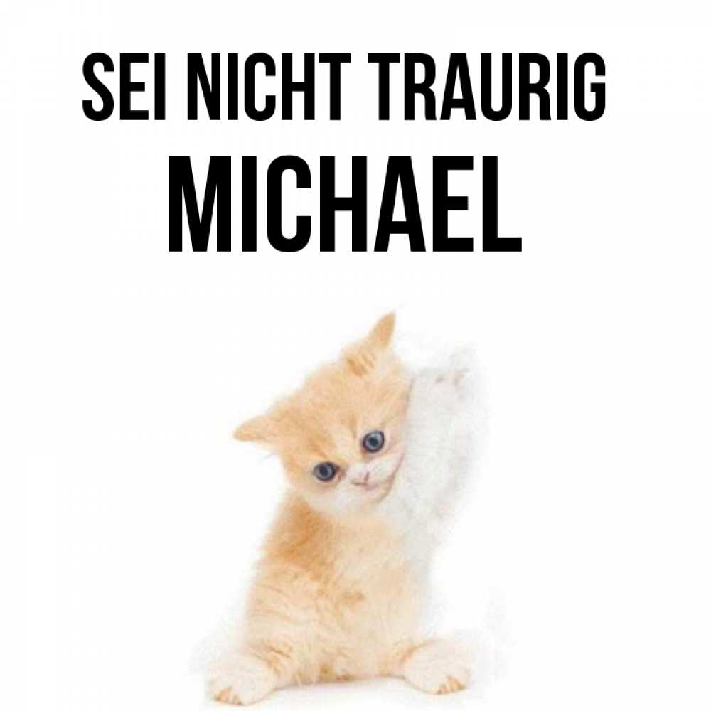 Открытка на каждый день с именем, Michael Sei nicht traurig просящий кот Прикольная открытка с пожеланием онлайн скачать бесплатно 