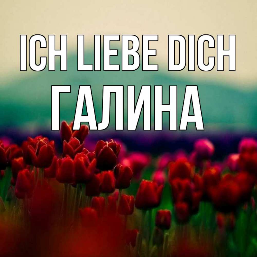 Открытка на каждый день с именем, Галина Ich liebe dich тюльпаны 4 Прикольная открытка с пожеланием онлайн скачать бесплатно 