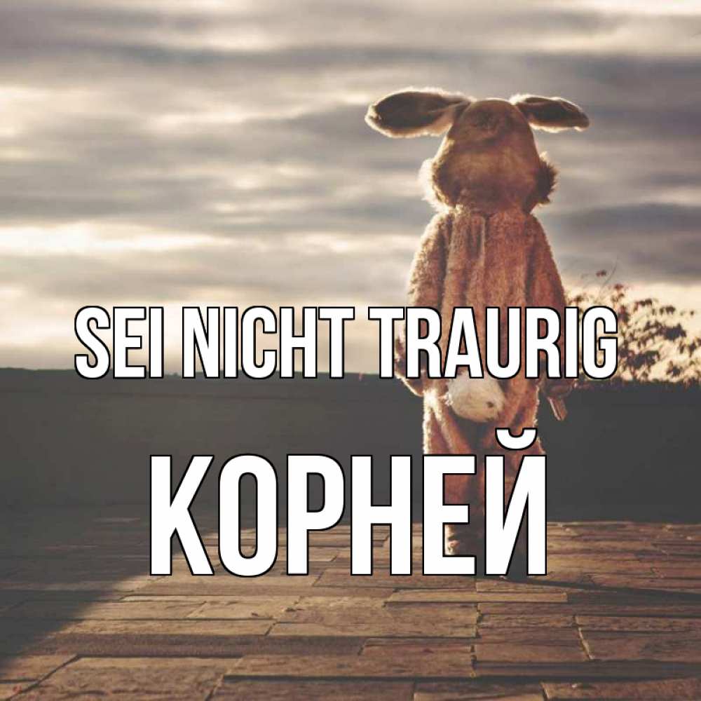 Открытка на каждый день с именем, Корней Sei nicht traurig со спины Прикольная открытка с пожеланием онлайн скачать бесплатно 