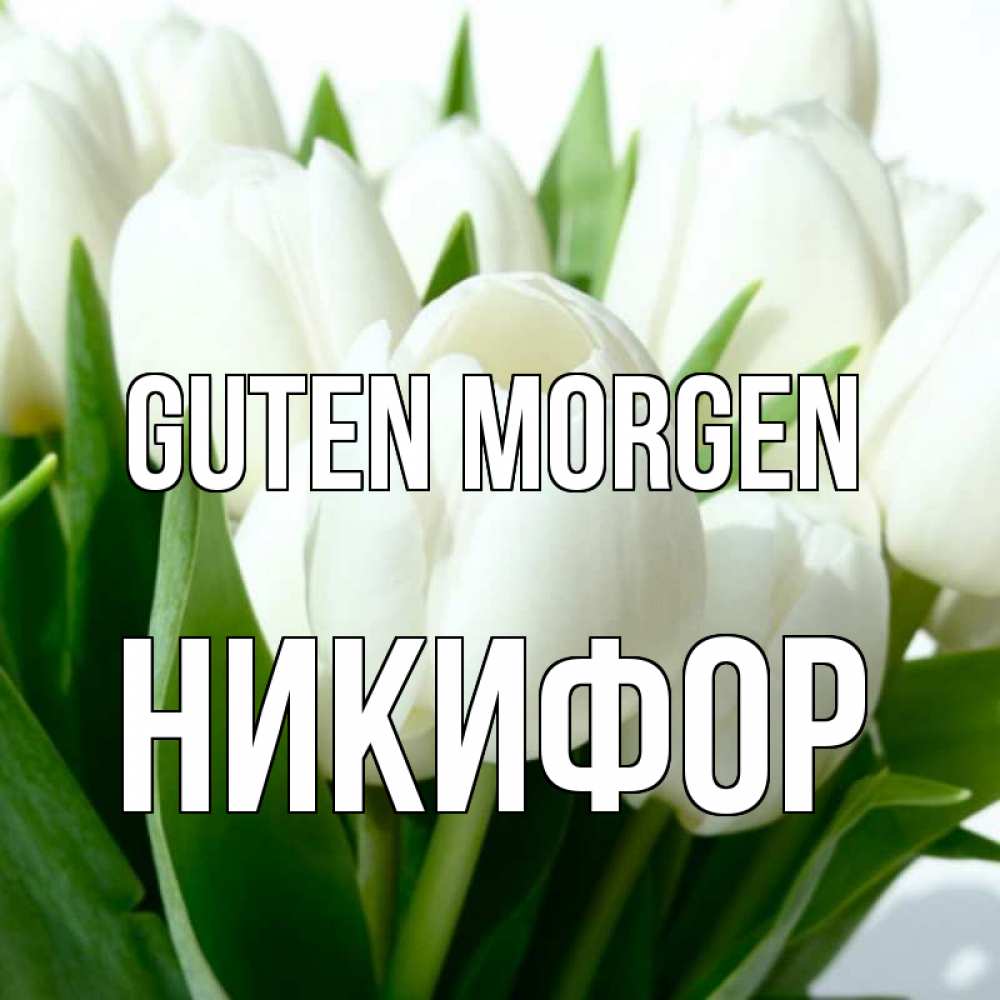 Открытка на каждый день с именем, Никифор Guten Morgen открытки на каждый день по именам Прикольная открытка с пожеланием онлайн скачать бесплатно 
