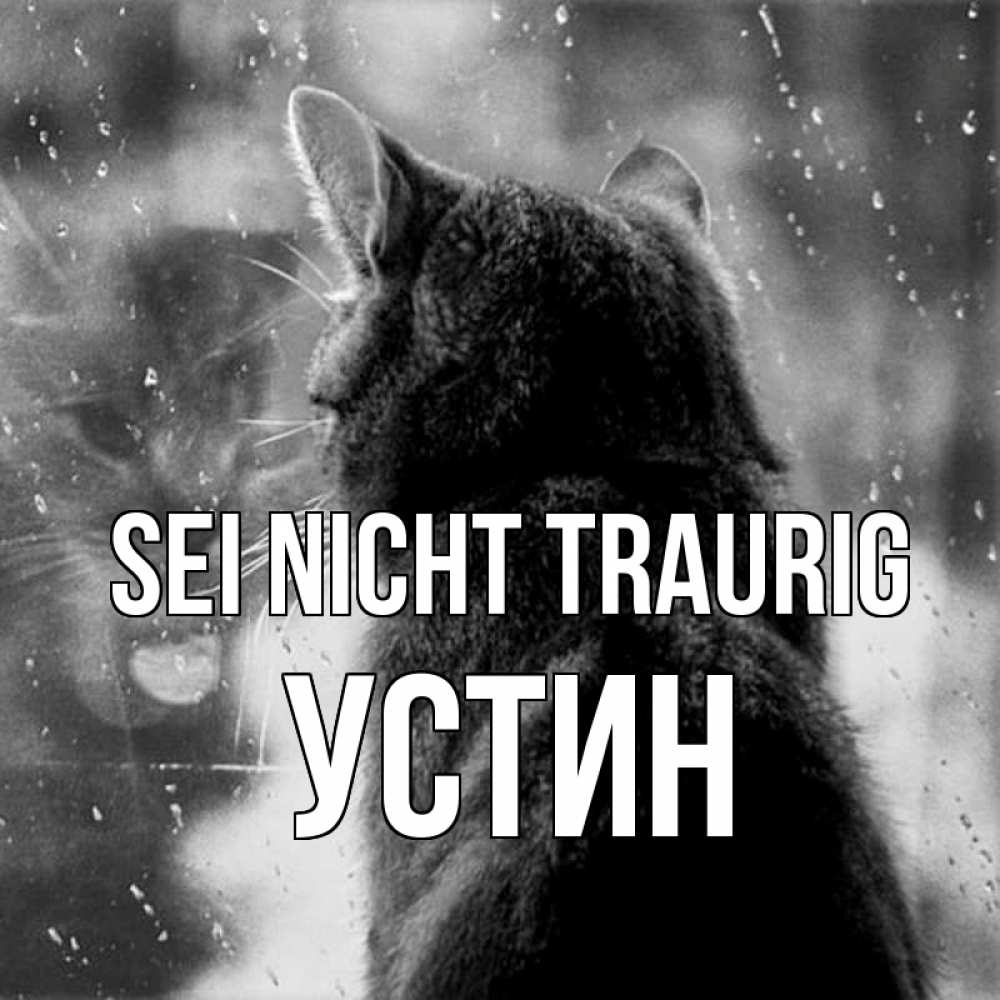 Открытка на каждый день с именем, Устин Sei nicht traurig отражение кота 1 Прикольная открытка с пожеланием онлайн скачать бесплатно 