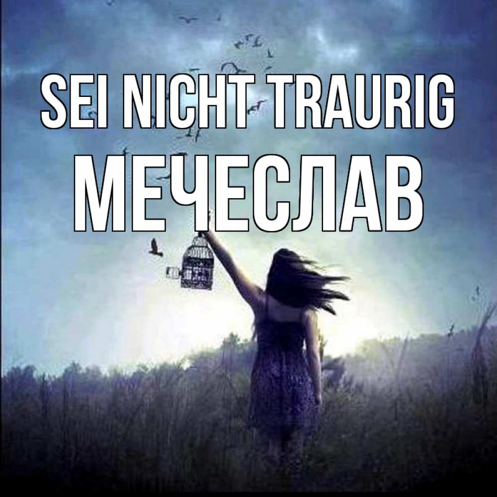 Открытка на каждый день с именем, Мечеслав Sei nicht traurig на волю Прикольная открытка с пожеланием онлайн скачать бесплатно 