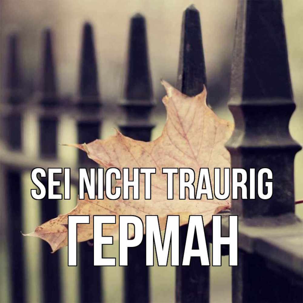 Открытка на каждый день с именем, Герман Sei nicht traurig лист клена Прикольная открытка с пожеланием онлайн скачать бесплатно 