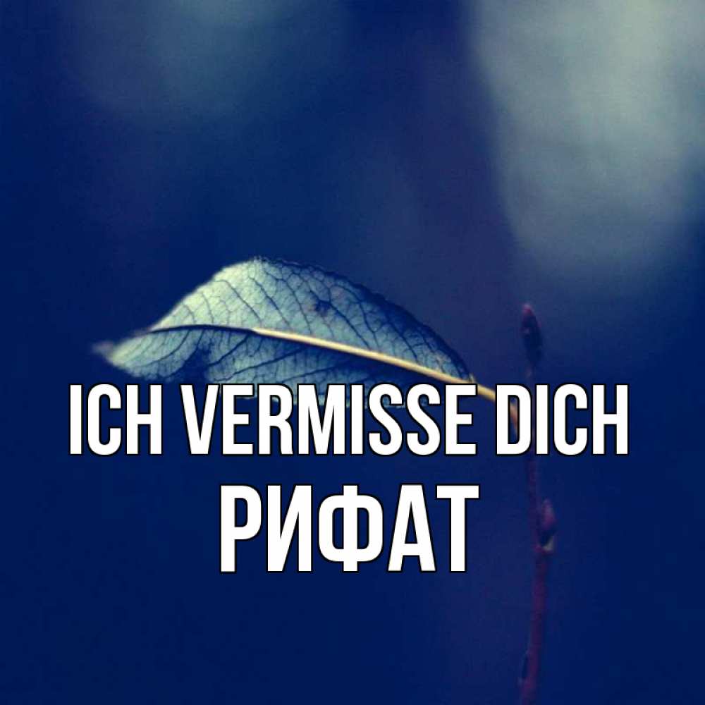 Открытка на каждый день с именем, Рифат Ich vermisse dich одна ветка 1 Прикольная открытка с пожеланием онлайн скачать бесплатно 