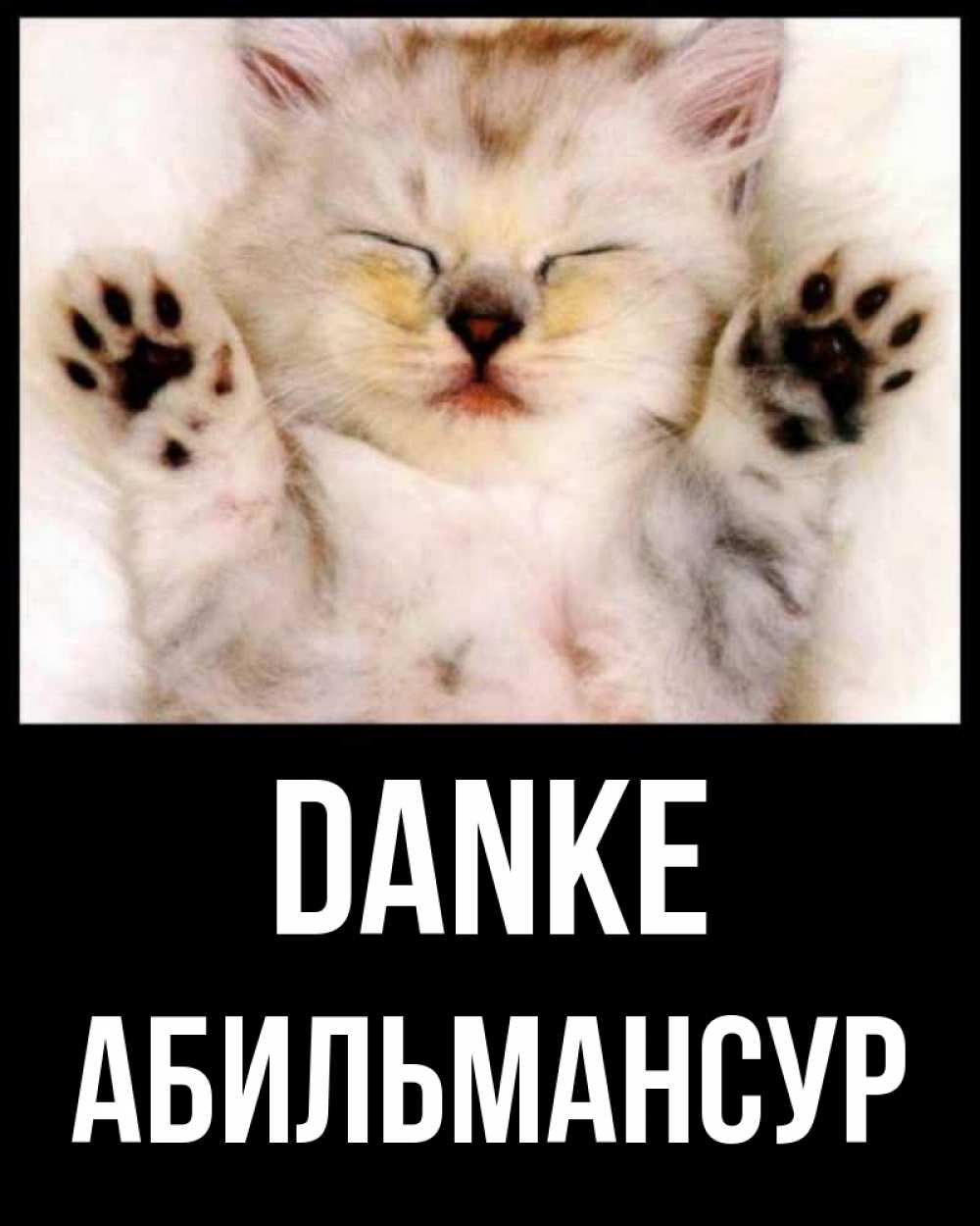 Открытка на каждый день с именем, Абильмансур Danke маленький котенок Прикольная открытка с пожеланием онлайн скачать бесплатно 