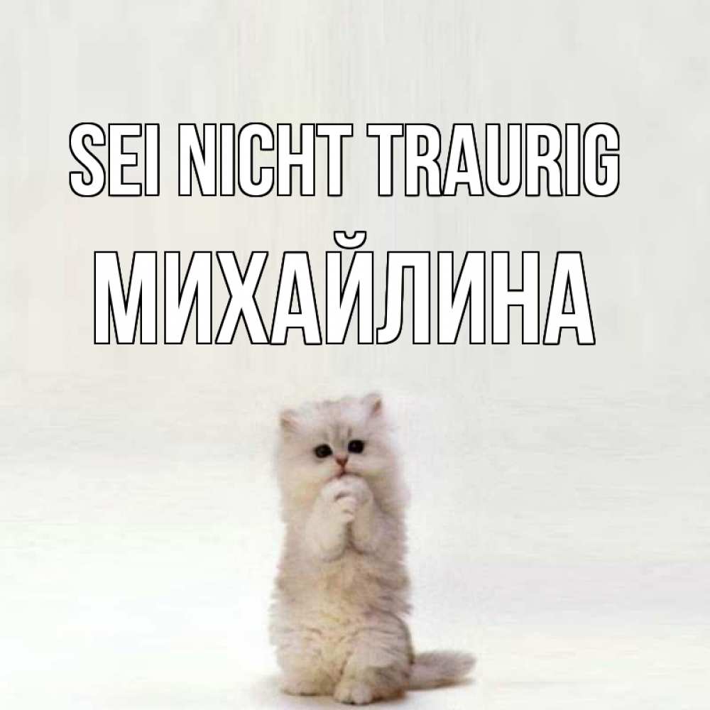Открытка на каждый день с именем, Михайлина Sei nicht traurig грустный кот Прикольная открытка с пожеланием онлайн скачать бесплатно 