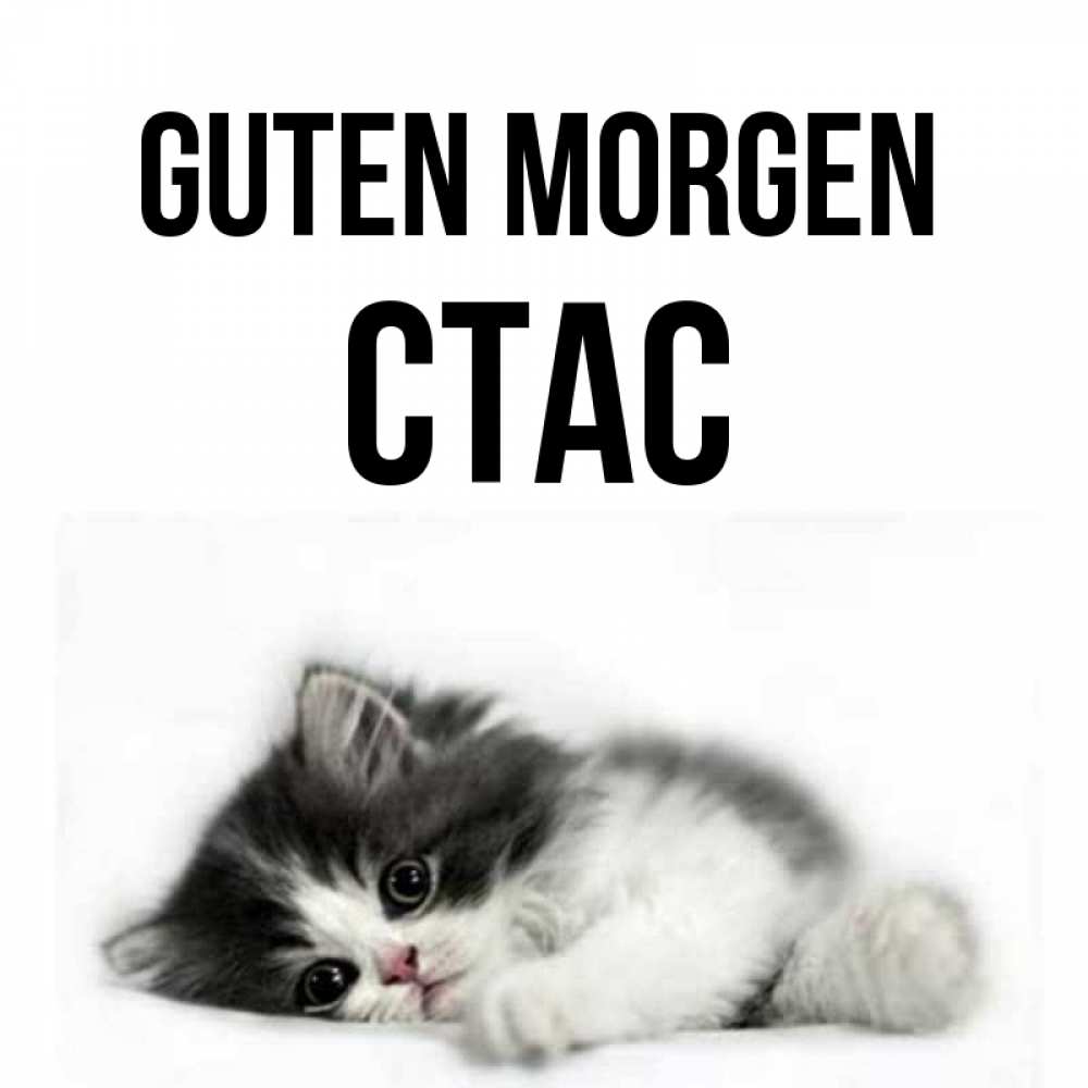Открытка на каждый день с именем, Стас Guten Morgen кот лапки Прикольная открытка с пожеланием онлайн скачать бесплатно 