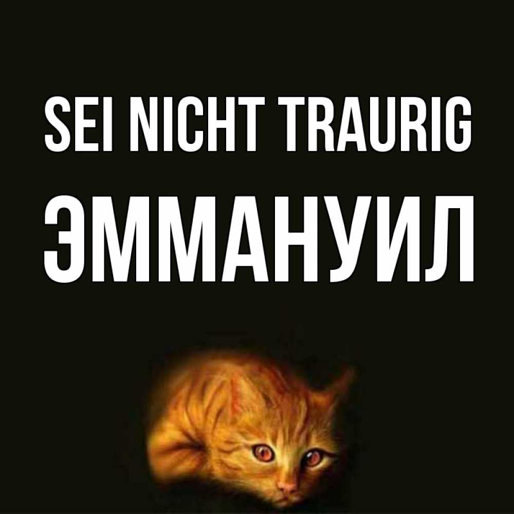 Открытка на каждый день с именем, Эммануил Sei nicht traurig лежащий кот в темноте Прикольная открытка с пожеланием онлайн скачать бесплатно 